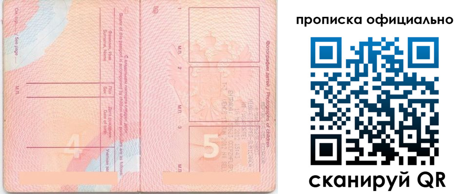 прописка для школы в Александровске